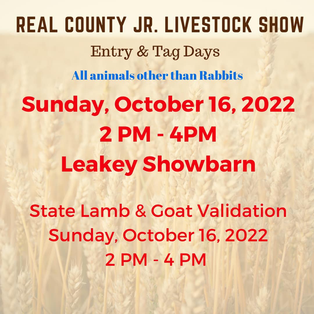 Real County Junior Livestock Show Other